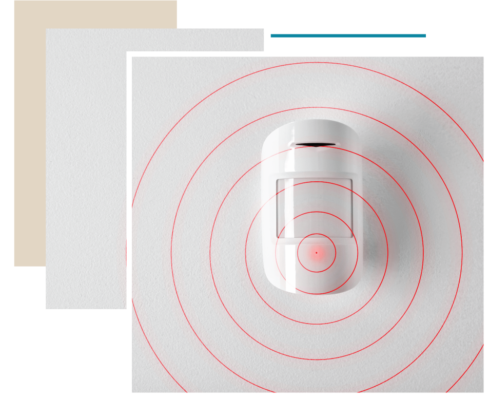 IntrustionMonitoring Graphic IntrustionMonitoring Graphic